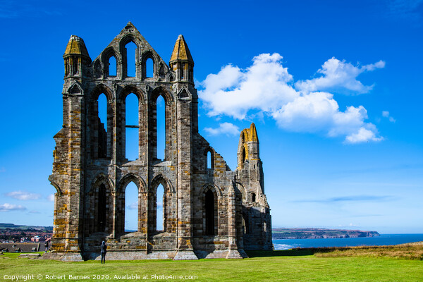 Whitby Abbey  Picture Board by Lrd Robert Barnes