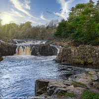 Buy canvas prints of Low Force - Durham by Lrd Robert Barnes