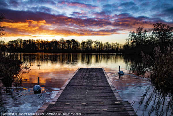 Sunrise at Bolam Lake   Picture Board by Lrd Robert Barnes