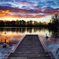 Buy canvas prints of Sunrise at Bolam Lake   by Lrd Robert Barnes