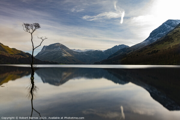 "The Lone Tree"  at Buttermere Lake Picture Board by Lrd Robert Barnes