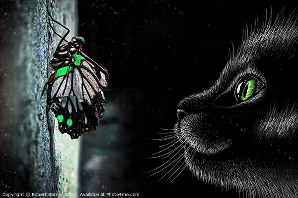 The Cat and the Butterfly Picture Board by Lrd Robert Barnes