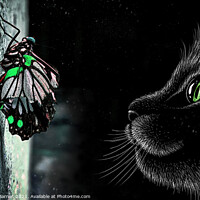 Buy canvas prints of The Cat and the Butterfly by Lrd Robert Barnes