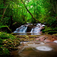 Buy canvas prints of Waterfall by Clive Rees