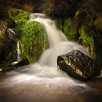 Buy canvas prints of Stream by Clive Rees