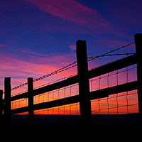 Buy canvas prints of Sunset Fence by Clive Rees