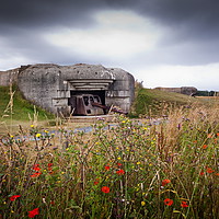 Buy canvas prints of Poppies and Gun by Clive Rees