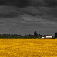 Buy canvas prints of Stormy Hay field by Clive Rees