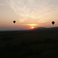 Buy canvas prints of Hot air balloons over the Maasai Mara. by Ant Marriott