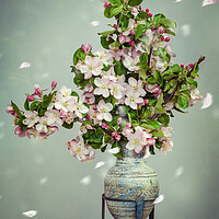 Buy canvas prints of Apple Blossom Stillife by Steffen Gierok-Latniak