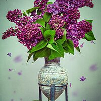 Buy canvas prints of Lilac Stillife by Steffen Gierok-Latniak