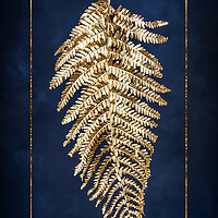 Buy canvas prints of Golden fern by Steffen Gierok-Latniak