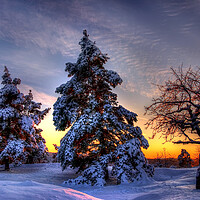 Buy canvas prints of Winter Sun by Steffen Gierok-Latniak