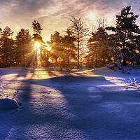 Buy canvas prints of Winter Sunrise by Steffen Gierok-Latniak