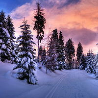 Buy canvas prints of Winter Wonderland by Steffen Gierok-Latniak