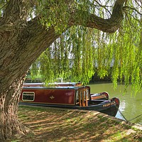 Buy canvas prints of       Boat                           by Sally Redgrave