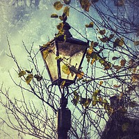 Buy canvas prints of  Street Lamp                               by Sally Redgrave