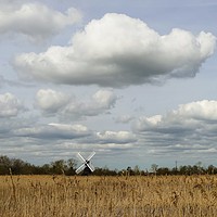 Buy canvas prints of Windmill by Sally Redgrave