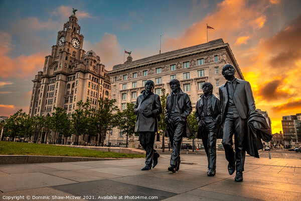 Fab Four at the Liver Building Picture Board by Dominic Shaw-McIver