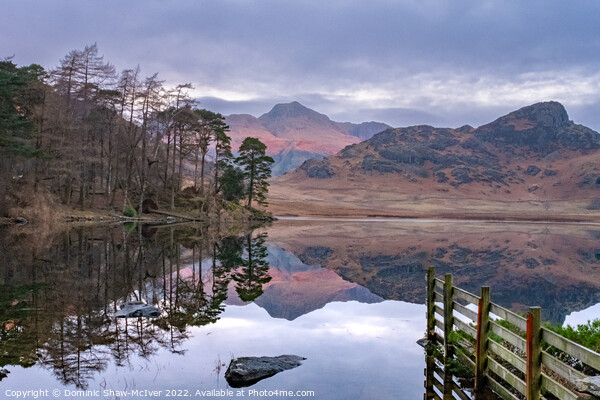 Blea Tarn Reflections Picture Board by Dominic Shaw-McIver