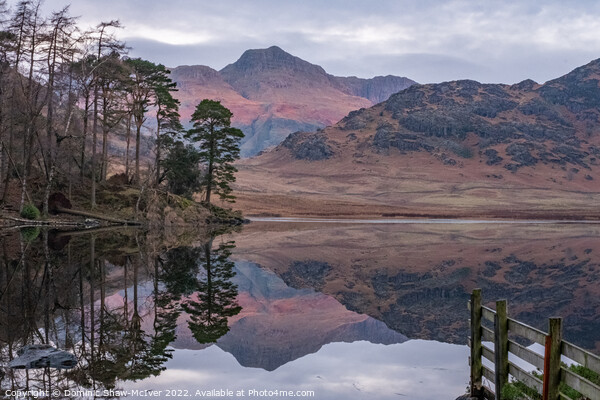 Blea Tarn reflections Picture Board by Dominic Shaw-McIver