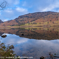 Buy canvas prints of Blea Tarn Panorama by Dominic Shaw-McIver