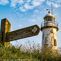 Buy canvas prints of Hale Village Lighthouse by Dominic Shaw-McIver