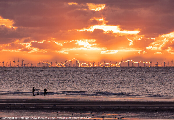 The Majestic Sunset Over Burbo Bank Windfarm Picture Board by Dominic Shaw-McIver