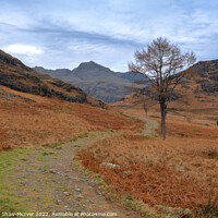 Buy canvas prints of The path to Langdale Pikes by Dominic Shaw-McIver
