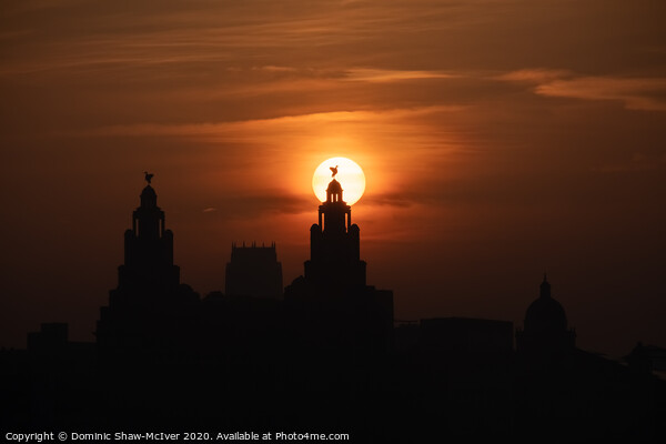 Liver Bird Sunrise Picture Board by Dominic Shaw-McIver