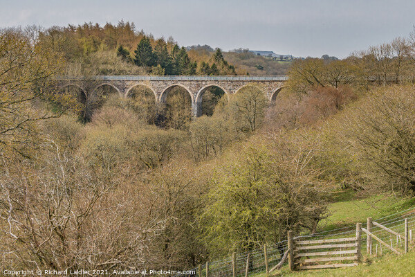Cotherstone Viaduct Teesdale Picture Board by Richard Laidler