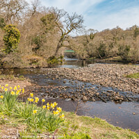 Buy canvas prints of Balder Tees Confluence at Cotherstone, Teesdale (1) by Richard Laidler