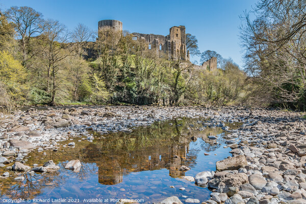 Barnard Castle and the River Tees (2) Picture Board by Richard Laidler