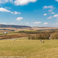 Buy canvas prints of Towards Cronkley Scar from Forest in Teesdale (3) by Richard Laidler