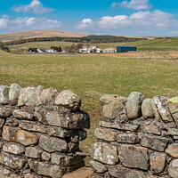 Buy canvas prints of Path to Langdon Beck, Teesdale  by Richard Laidler