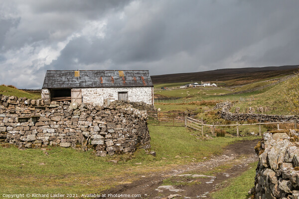 High Beck Head Farm, Ettersgill, Teesdale Picture Board by Richard Laidler