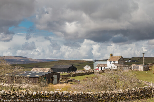 Scar End Farm, Teesdale  Picture Board by Richard Laidler