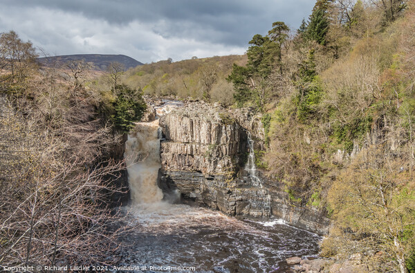 High Force Waterfall, Teesdale Picture Board by Richard Laidler