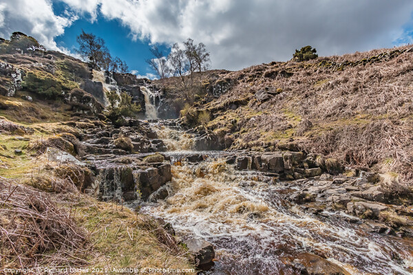 Blea Beck Force, Teesdale (2) Picture Board by Richard Laidler