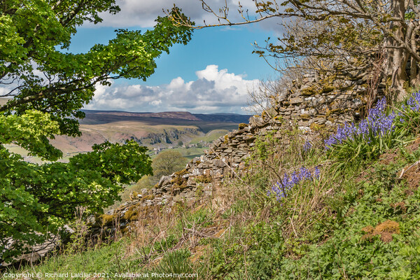 Over to Holwick, Teesdale from Stoney Gill Head in Spring Picture Board by Richard Laidler