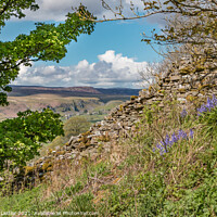 Buy canvas prints of Over to Holwick, Teesdale from Stoney Gill Head in Spring by Richard Laidler