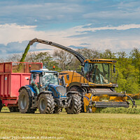 Buy canvas prints of Silage Making at Foxberry (4) by Richard Laidler