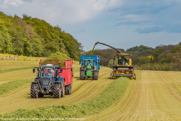 Silage Making at Foxberry (2) Picture Board by Richard Laidler
