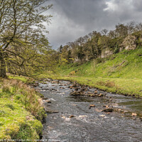 Buy canvas prints of Sleightholme Beck in Spring (2) by Richard Laidler