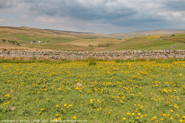 Harwood Spring Meadow Picture Board by Richard Laidler