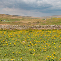 Buy canvas prints of Harwood Spring Meadow by Richard Laidler