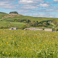Buy canvas prints of Kirkcarrion and Flower Meadows by Richard Laidler