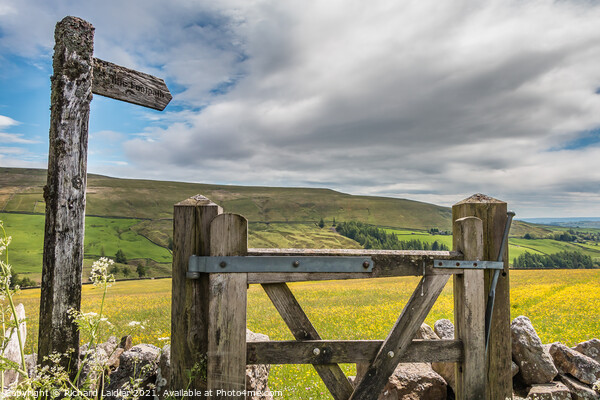 Gateway to the Meadow Picture Board by Richard Laidler