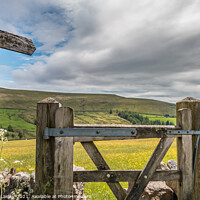 Buy canvas prints of Gateway to the Meadow by Richard Laidler