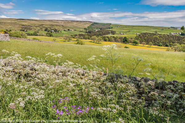 Over to Snaisgill from Aukside in Summer Picture Board by Richard Laidler